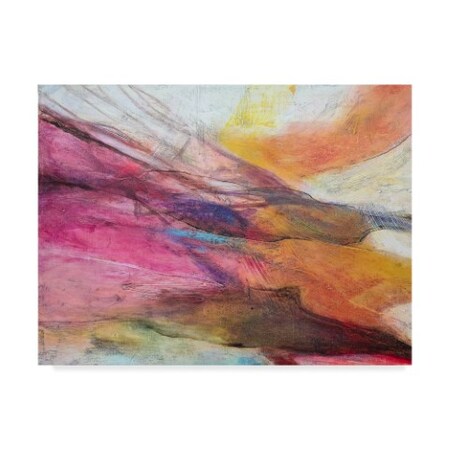 Trademark Fine Art Gabriela Villarreal 'Fuchsia Expression Ii' Canvas Art, 18x24 WAG08986-C1824GG